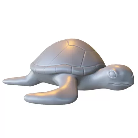 Cute Sea Turtle