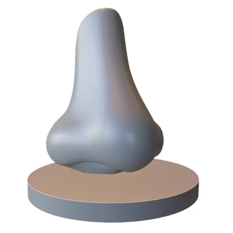 Realistic Human Nose