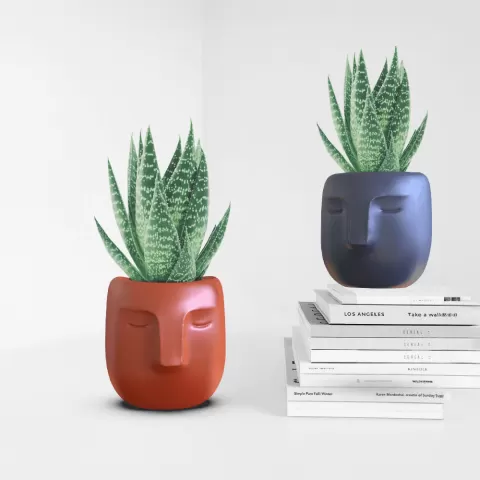 Face Planter, 3D Head Plant Pot, Minimalist Cute Flower Pot, Bohemian Vase, 3D Vase Print Files, Spe