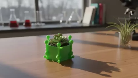 Atomic Bloom Vessel