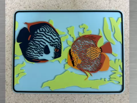 Aquatic Creatures -Discus Pair 200x150