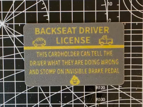 Backseat Driver License