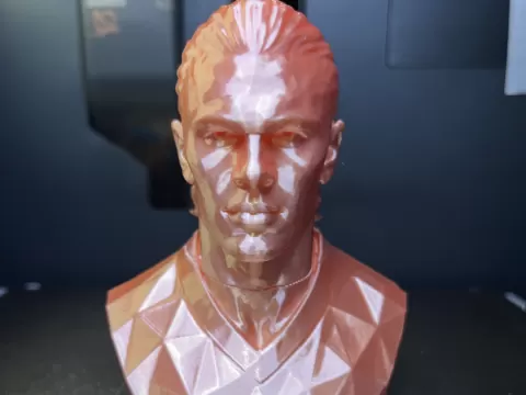 BUSTO HALAND Modern Art - Low Poly
