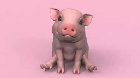 Cute Sit Piglet