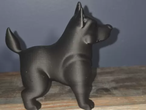 Cane Corso