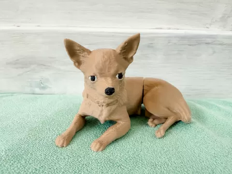 Flexi Chihuahua