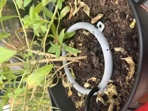 Parametric Drip Irrigation Ring for 1/4" (6mm) tubing with Improved Barb