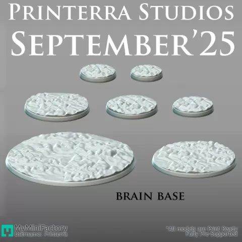 054 BASE Brain Base by Printerra Studios