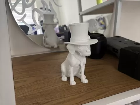 Super Snazzy Pooch in a Hat!