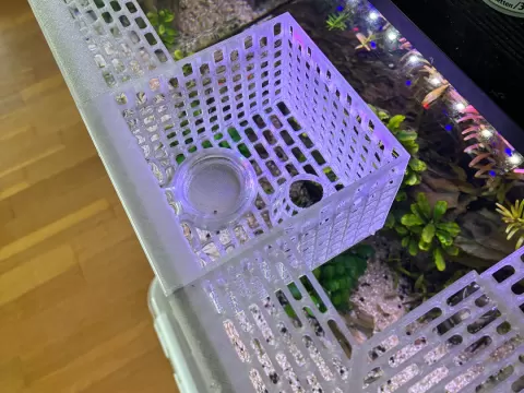Fish Trap for planted Tanks (5mm Glass)