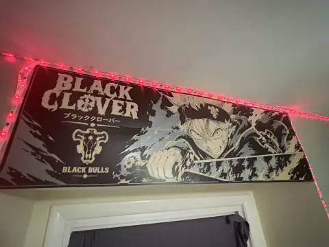 asta wall hueforge