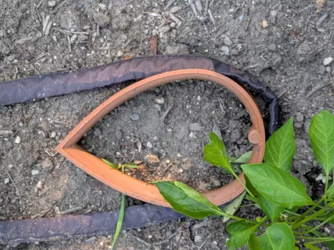 Soaker hose stake to avoid kinks