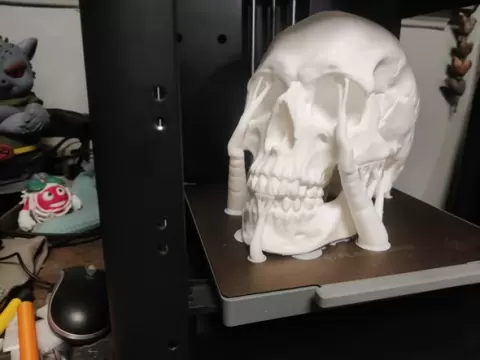 AB-Skull