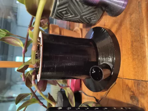 Solo Cup Planter