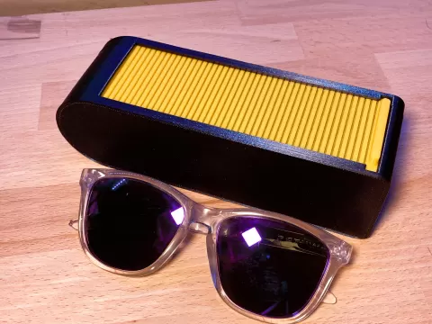 Glasses case