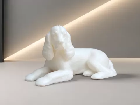 American Cocker Spaniel - Dog - Animal