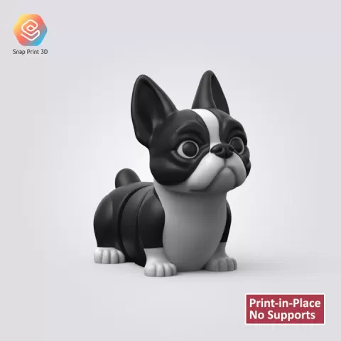 Flexi Boston Terrier by SNAP PRINT 3D
