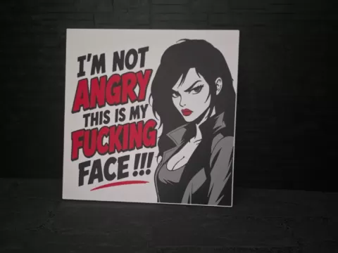 Magnet Schild " I´m not Angry ... "