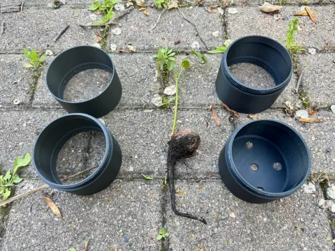 Stack-a-Pot: Modular Planter for Taproot Plants