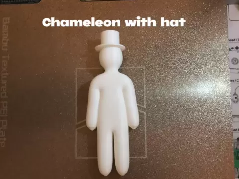 Chameleon with hat hider