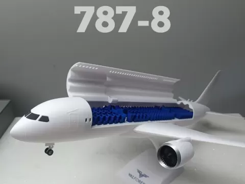 Beoing 787-8 model (interior included)