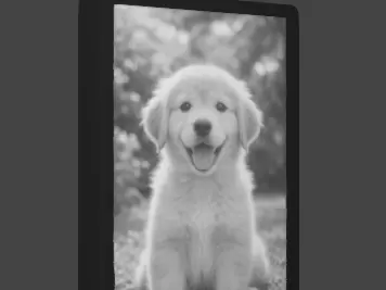 cornice fotografica