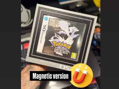 Quadro per giochi NINTENDO DS