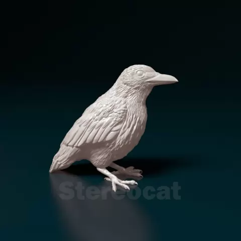 Crow by Giunninen Andrei