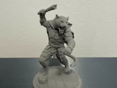 TTRPG Miniature: Tabaxi Brawler