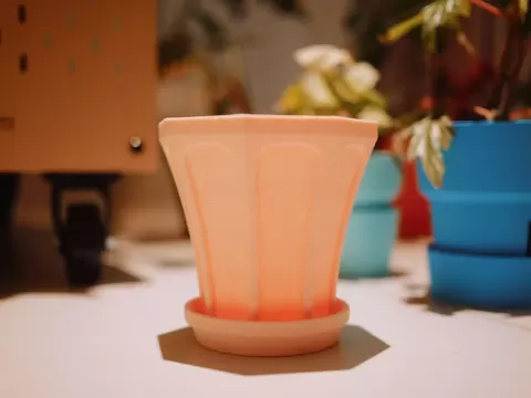 自由之门花盆｜13cm