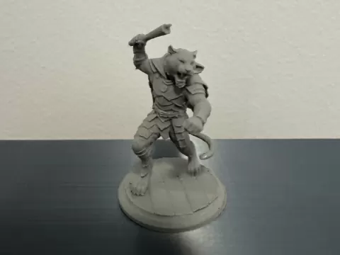 TTRPG Miniature: Tabaxi Brawler