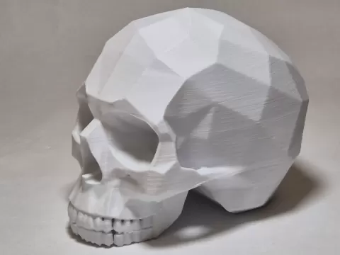 Poly skull