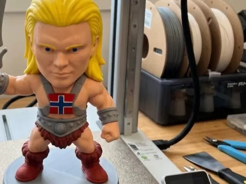HAALAND HAS THE POWER!