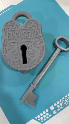 EverSafe Functioning Padlock - no AMS, no Supports