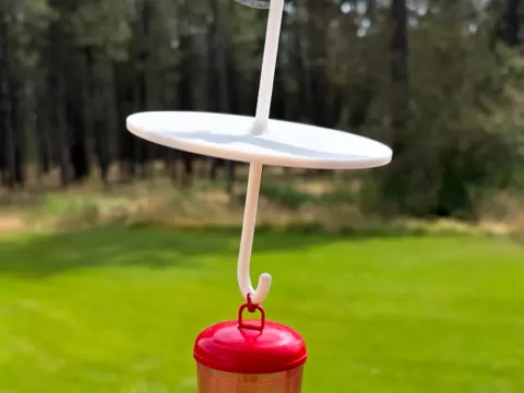 Hummingbird Feeder Ant Guard