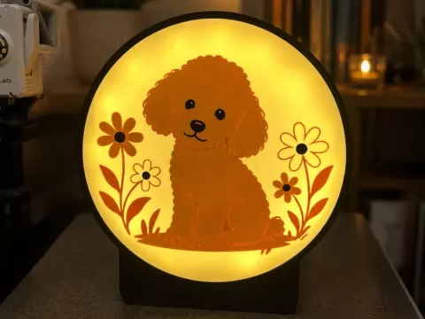 Light Box "Barboncino"