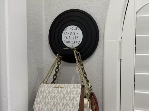 Vinyl Record Wall Hook