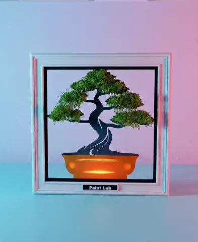Bonsai Tree