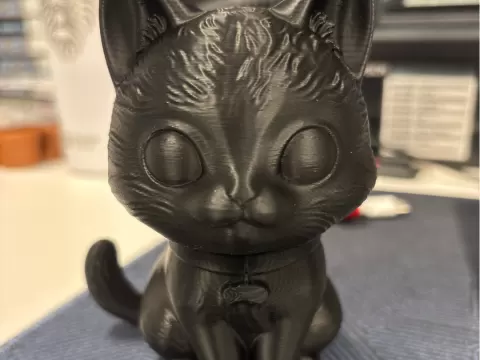 Black Cat