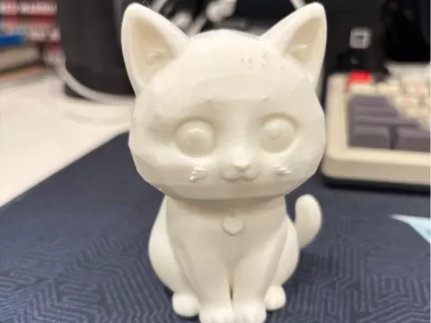 Black and white cat
