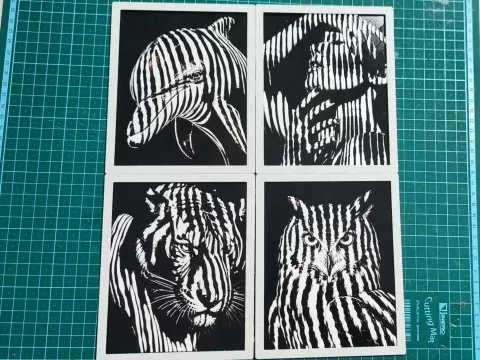 Striped Shadows Series – Snap Display Frame