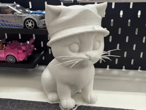 purring baby cat in a hat
