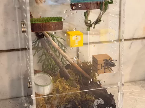 Terrarium Mario Blocks