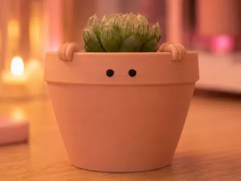 "Peeko" - Cute Plant Pot