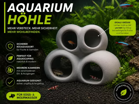 Aquarium-Höhle