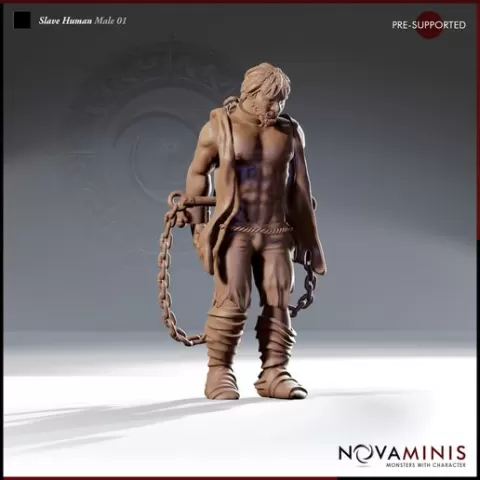 Slave Human Male 01