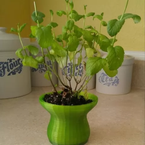 Double-Walled Flower Pot 1.0