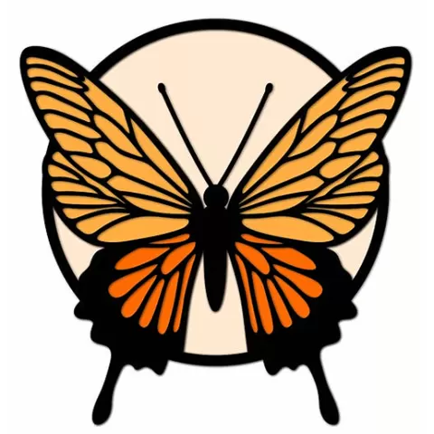Multicolored butterfly