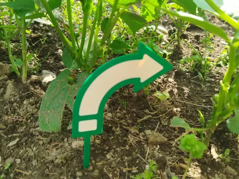 Pflanzenpfeil Links Rechts AMS Beschriftung Garten