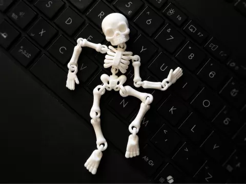 Flexi skeleton. Fast and easy print